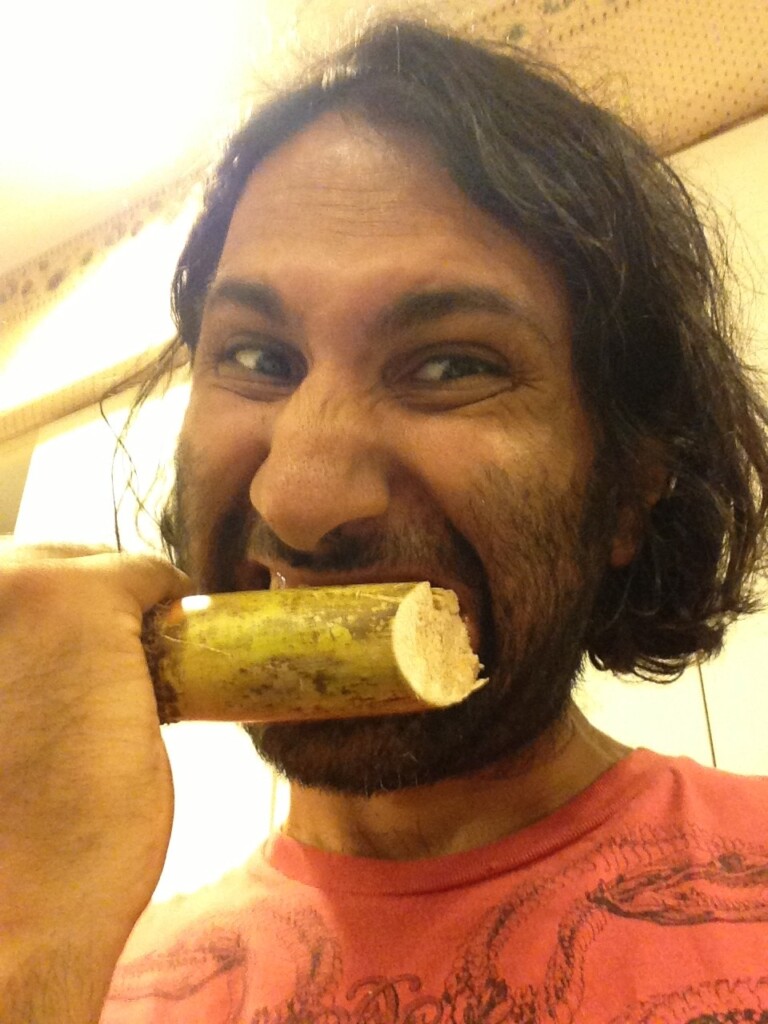 Sugarcane, Yippee!