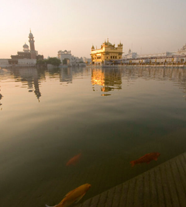 Photo Friday: Massive, Orange Fish at the Golden Temple in Amritsar!