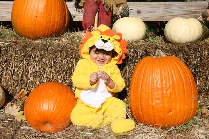 It’s Thanksgiving — Time for Kavya’s First Taste of Masala Turkey