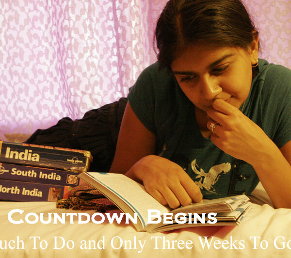 Travelogue India: The Countdown Begins, So Much to Do and Only Three Weeks to Go!